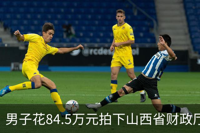 男子花84.5万元拍下山西省财政厅公物仓“金观音”，回家一测竟是铜像！“金观音” 源自行贿案，被检方认定赃物并收缴，法院判令退货还款